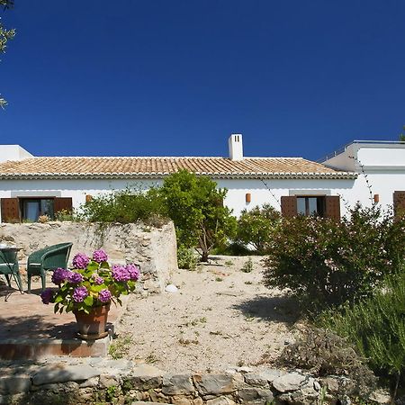Monte Do Alamo - Turismo Rural Tavira Exteriér fotografie